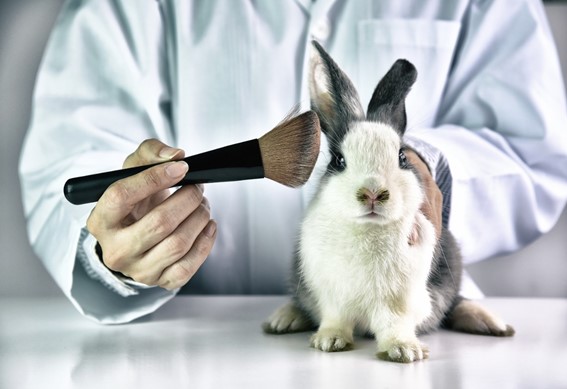 Entenda o porque de Cosméticos Cruelty-Free na Indústria da&nbsp;Beleza